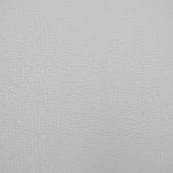 Переплетный кожзам Игуана белый 30 х 70 см